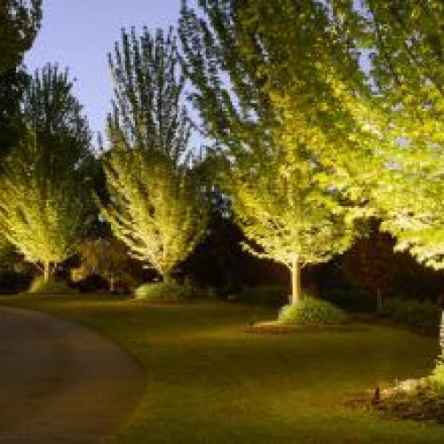 FX Luminaire Lighting Illuminates Wandilla Park